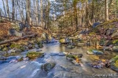 A nature-filled land offering in the charming historic hamlet of - photo 1