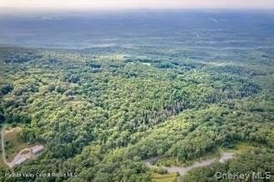 A nature-filled land offering in the charming historic hamlet of - photo 2