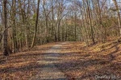 A nature-filled land offering in the charming historic hamlet of - photo 3
