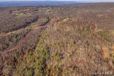 A nature-filled land offering in the charming historic hamlet of - photo 4