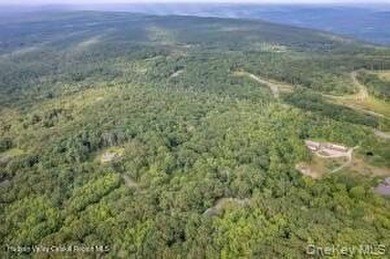 A nature-filled land offering in the charming historic hamlet of - photo 5
