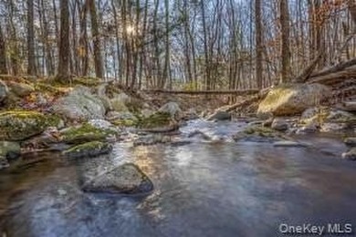 A nature-filled land offering in the charming historic hamlet of - photo 6