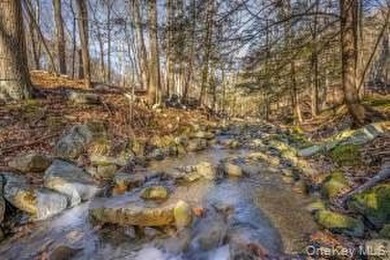 A nature-filled land offering in the charming historic hamlet of - photo 7