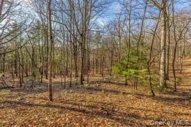 A nature-filled land offering in the charming historic hamlet of - photo 8