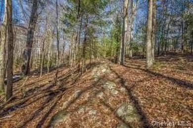 A nature-filled land offering in the charming historic hamlet of - photo 9