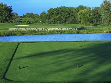 Golf Course Lot! Rare opportunity to build your dream home in - photo 10
