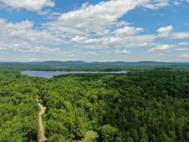 Lake Acreage For Sale in Lakeville, Maine