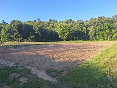 Connecticut River Acreage For Sale in Walpole New Hampshire