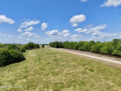 168+/- acres of pastureland just outside Vicksburg offering a - photo 11