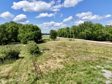168+/- acres of pastureland just outside Vicksburg offering a - photo 12