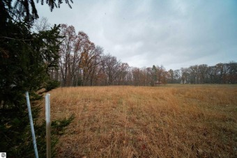 Little Manistee River Lot For Sale in Irons Michigan