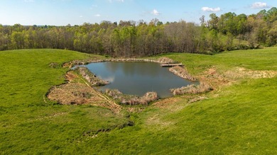 2232 State Route 83 in Beverly, Ohio is 375 total acres in - photo 3