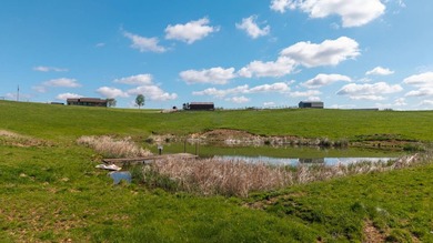 2232 State Route 83 in Beverly, Ohio is 375 total acres in - photo 8