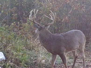 2232 State Route 83 in Beverly, Ohio is 375 total acres in - photo 9