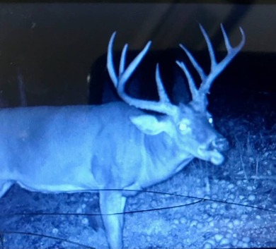 2232 State Route 83 in Beverly, Ohio is 375 total acres in - photo 10