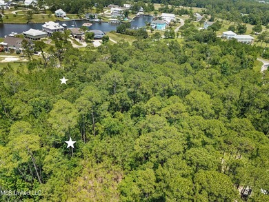 2 Beautiful lots across the street from the bayou in Henderson - photo 1