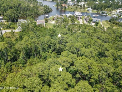2 Beautiful lots across the street from the bayou in Henderson - photo 2