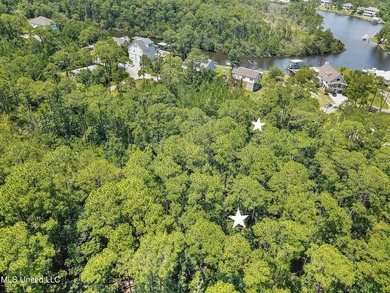 2 Beautiful lots across the street from the bayou in Henderson - photo 3