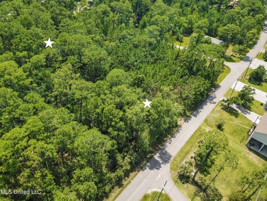 2 Beautiful lots across the street from the bayou in Henderson - photo 4