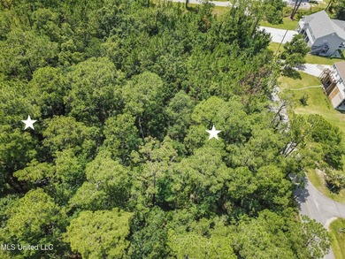 2 Beautiful lots across the street from the bayou in Henderson - photo 5