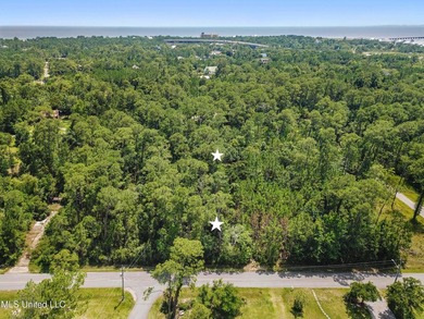 2 Beautiful lots across the street from the bayou in Henderson - photo 6