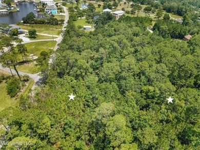 2 Beautiful lots across the street from the bayou in Henderson - photo 7