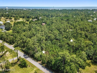 2 Beautiful lots across the street from the bayou in Henderson - photo 8