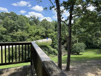 Prime Commercial Opportunity with Residential Living in Mountain - photo 35