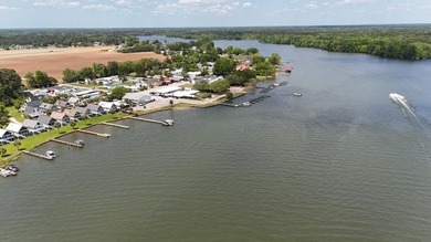 Furnished waterfront gem, located in Goat Island, nestled in the - photo 40