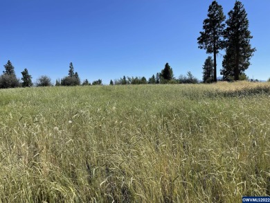 Lake Lot For Sale in Chiloquin, Oregon