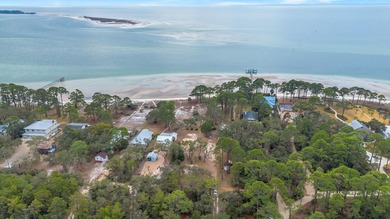 Florida's Forgotten Coast!!!Coastal waterfront property on 1 - photo 3