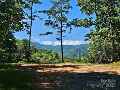 Lake Logan  Acreage For Sale in Canton North Carolina