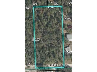 Suwannee River Acreage For Sale in Bell Florida
