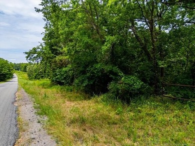 Beautiful Parcel ready for your homesite, rural water, electric - photo 19