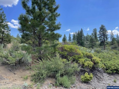 Lake Lot Off Market in Chiloquin, Oregon