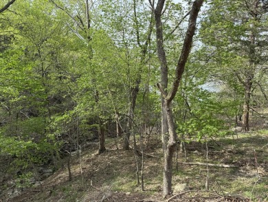 Lake Lot Sale Pending in Shell Knob, Missouri