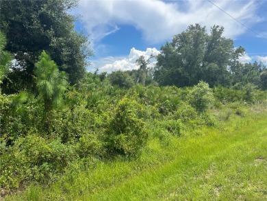 Northport Waterway Lakes and Canals Lot For Sale in North Port Florida