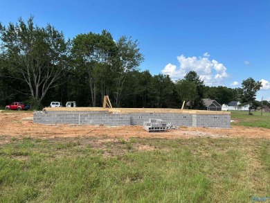 Lake Home For Sale in Scottsboro, Alabama