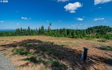Introducing Delta Vista Community! An upscale community with - photo 4