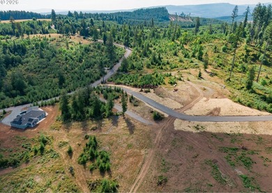 Introducing Delta Vista Community! An upscale community with - photo 6