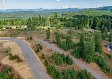 Introducing Delta Vista Community! An upscale community with - photo 8