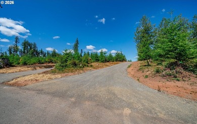Introducing Delta Vista Community! An upscale community with - photo 9