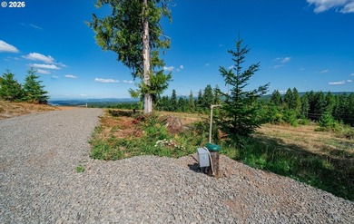 Introducing Delta Vista Community! An upscale community with - photo 10