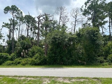 Port Charlotte Waterway Area Lot For Sale in Port Charlotte Florida