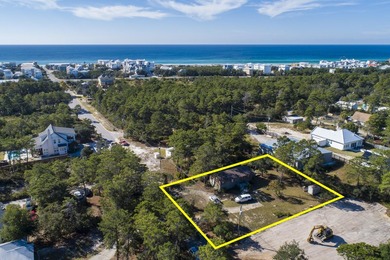 Powell Lake Lot For Sale in Inlet Beach Florida