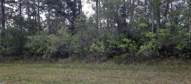 Lake Lot For Sale in Indian Lake Estates, Florida