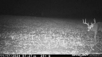 (private lake, pond, creek) Acreage For Sale in Augusta Wisconsin