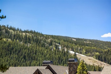 A rare offering in Keystone's prestigious Alders neighborhood - photo 27