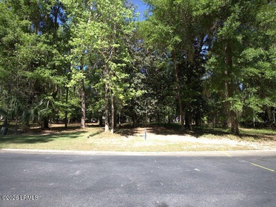 BEAUTIFUL HOMESITE IN THE PRIVATE PREMIER GATED WATERFRONT - photo 4