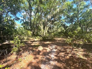 Tsala Apopka Chain of Lakes Lot Sale Pending in Inverness Florida